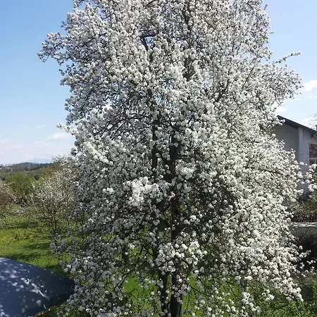 Apartment Stadtnahe Landwohnung Klagenfurt am Woerthersee
